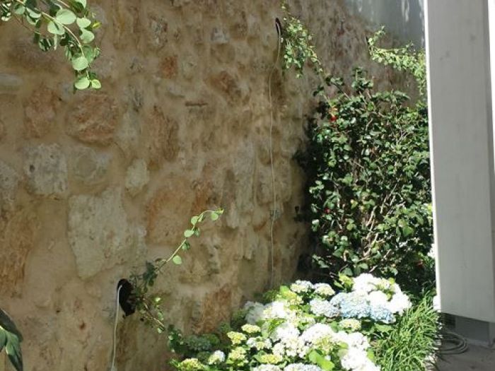 Archisio - Pedone Working - Progetto Verde matematico