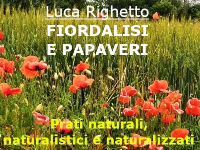 Archisio - Luca Righetto - Progetto Pensieri e considerazioni su piante e giardini Link agli articoli in httpsprogettazione-spazi-verdibusinesssiteutmsourcegmbutmmediumreferral