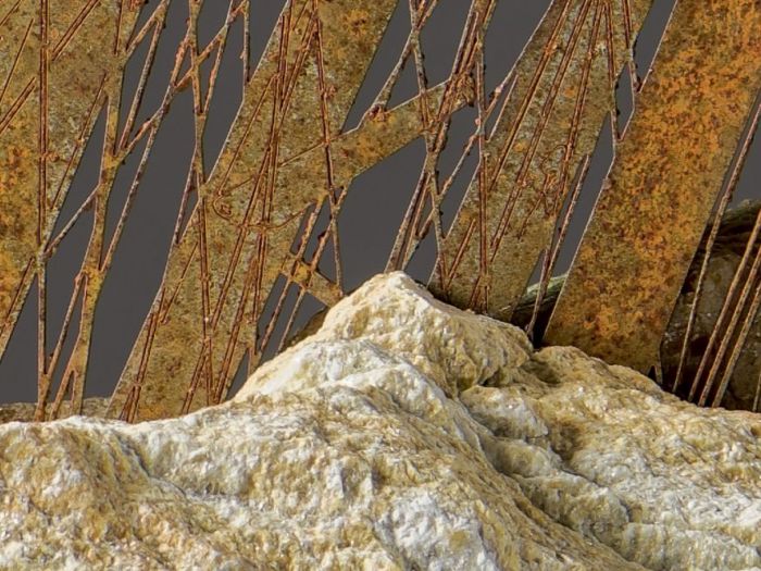 Archisio - Studio Cc - Progetto Orchestra