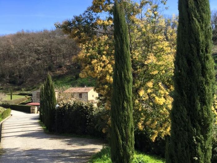 Archisio - Studio Catolfi - Progetto Il borghetto e agriturismo poggio tondo