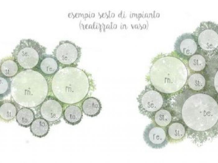 Archisio - P432 Studio - Progetto Il verde insgna