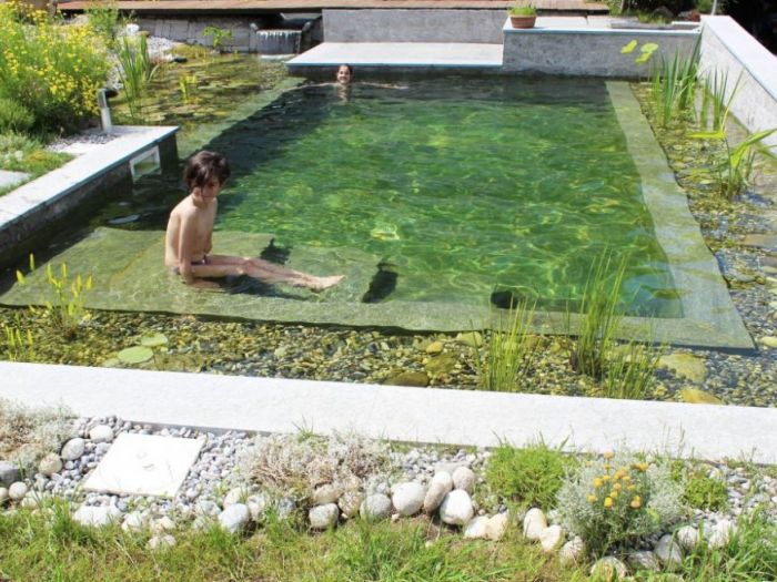 Archisio - Arqtropa Studio - Progetto Biopiscina