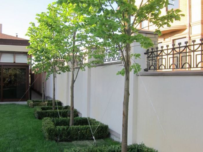 Archisio - Architetto Del Paesaggio Designer Del Verde - Progetto Giardino privato 1