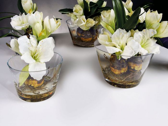 Archisio - Jupiter International srl - Progetto Set arrangement - composizioni floreali