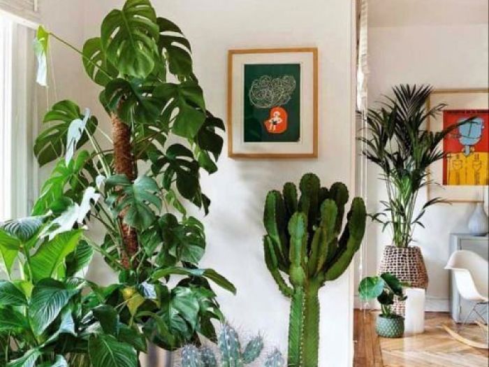 Archisio - Dotto Francesco Consulting Green - Progetto Crea ambiente salubre interno