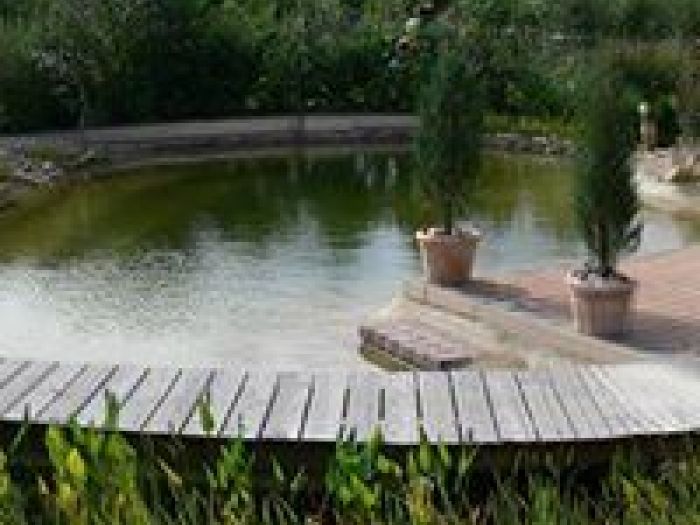 Archisio - Arqtropa Studio - Progetto Piscine naturali e vegetazione acquatica