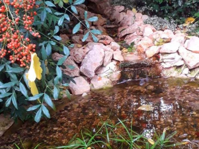 Archisio - Vivai Preti - Progetto Giardino a rami