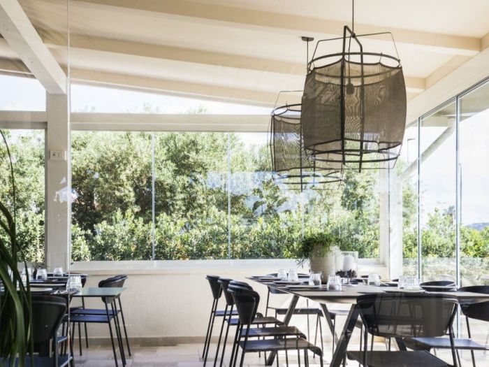 Archisio - Design Project - Progetto Il tronco -pizzeria-