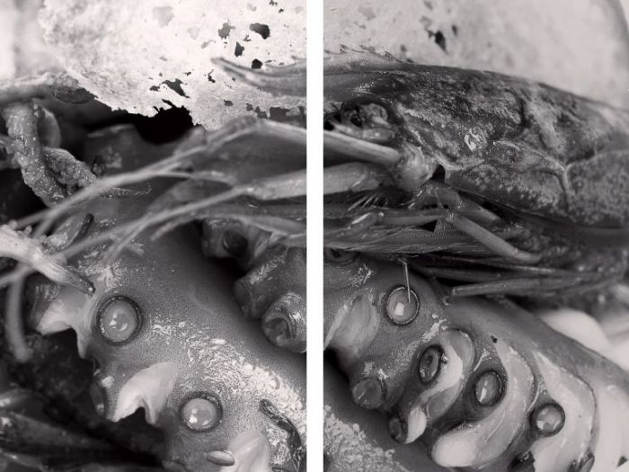 Archisio - Vdf Valerio Durso Fotografo - Progetto Food