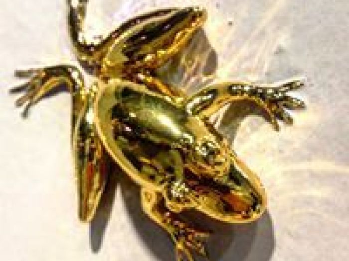 Archisio - Ceramica Nd Dolfi - Progetto Lavori nd dolfi