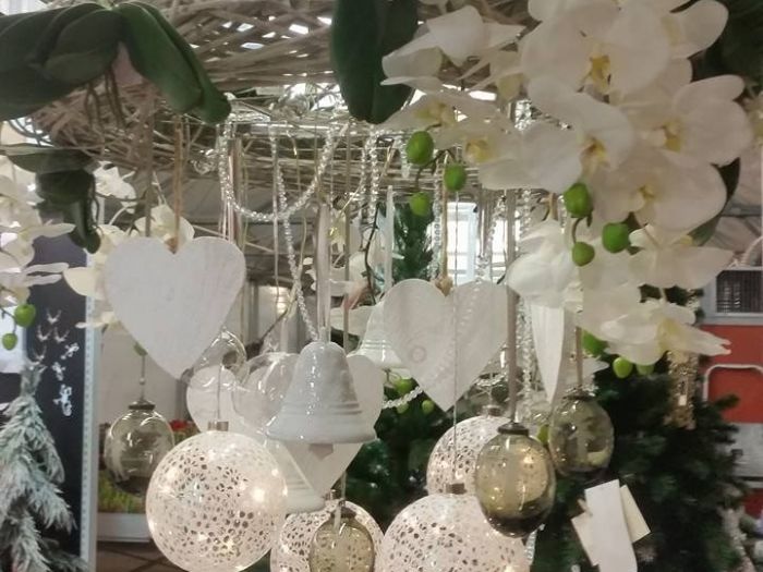 Archisio - Massarroni - Vivai Piante - Garden - Progetto Vivai e piante