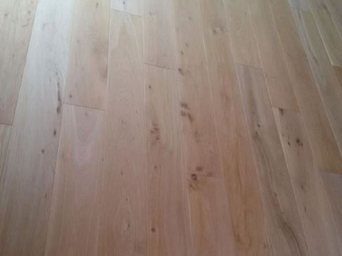 Archisio - Pitture Edili Camarin - Progetto Pittura e lavori edili