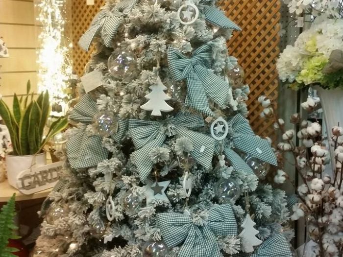 Archisio - Massarroni - Vivai Piante - Garden - Progetto Vivai e piante