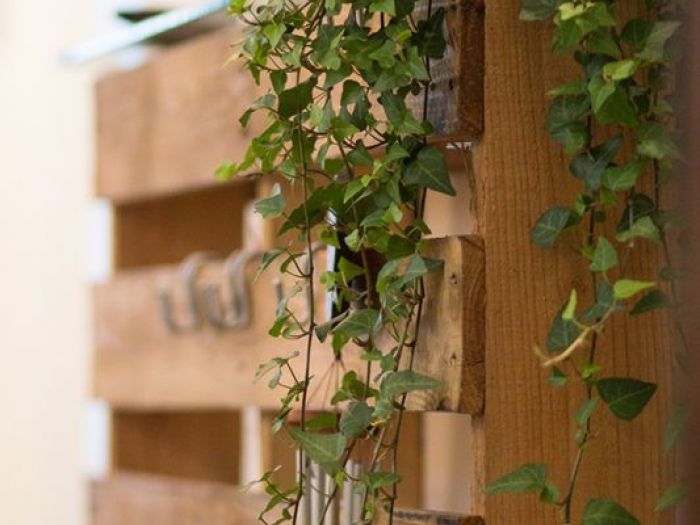 Archisio - St Studio - Progetto Carano