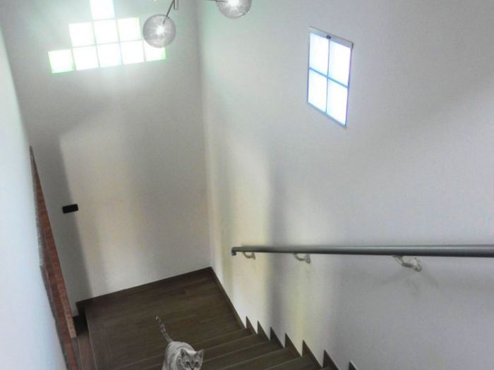 Archisio - Claudia Fardin - Progetto No radon house