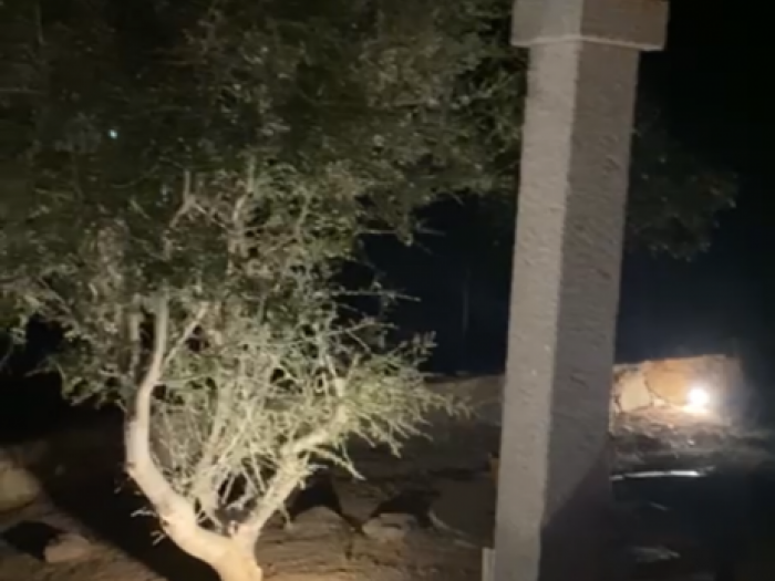 Archisio - Unity - Progetto Illuminazione