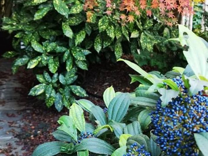 Archisio - Studio Mama - Progetto Giardini esterni