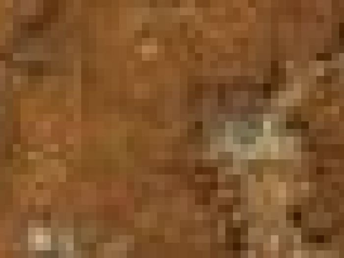 Archisio - Payanini The Stone Brand - Progetto Payanini