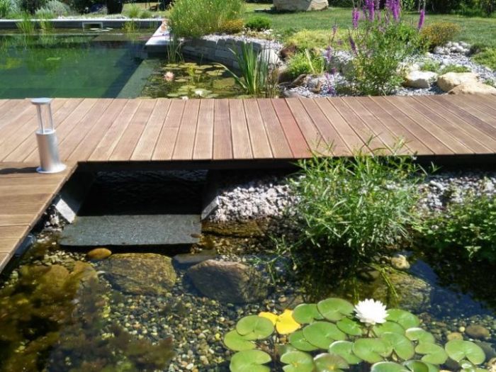 Archisio - Arqtropa Studio - Progetto Biopiscina