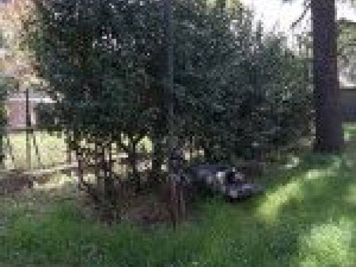 Archisio - Mageris srl - Progetto Pulizie giardini via casilina