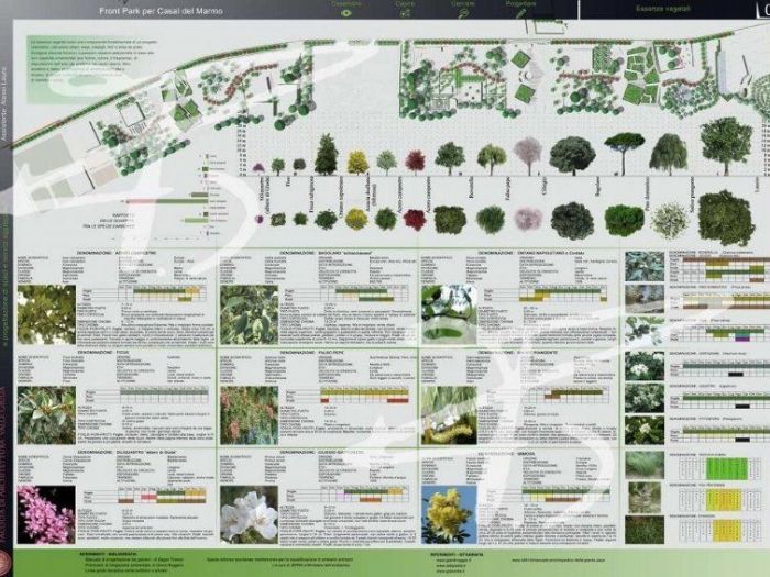 Archisio - Fabrizio Contiello - Progetto Progetto 1