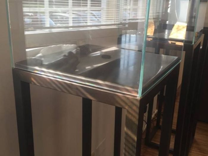 Archisio - Gian Luca Gentili - Progetto Lxfshowroom