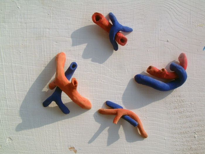 Archisio - Leolab - Progetto Frammenti di un discorso arterioso