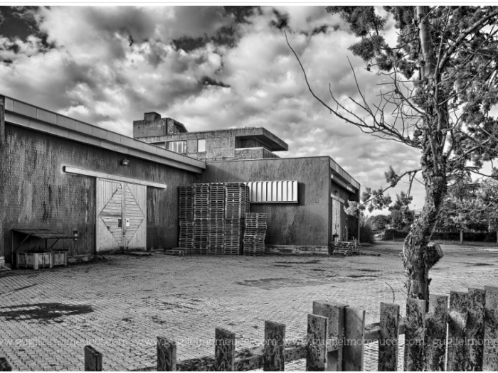 Archisio - Guglielmo Meucci - Progetto Fotografie centro frigorifero ducapelli san donato