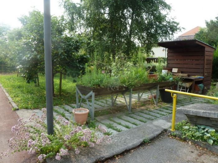 Archisio - Luca Docci - Progetto Giardino terapeutico alzheimer residenza per anziani