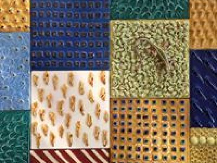 Archisio - Ceramica Nd Dolfi - Progetto Lavori nd dolfi