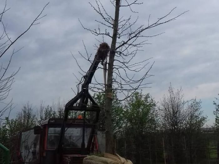 Archisio - Robi Bonaita Alessio Bonaita Fabiano Bonaita - Progetto Le nostre piante