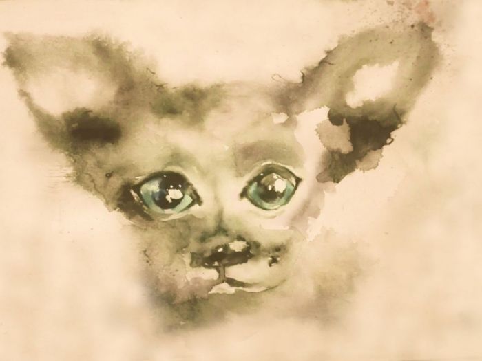 Archisio - Elena Lisa Colombo - Progetto Illustrazioni