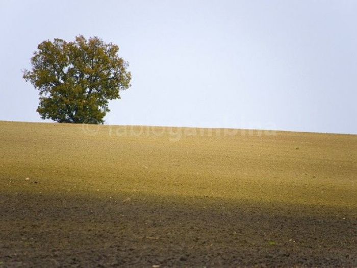 Archisio - Fabio Gambina - Progetto Landscape