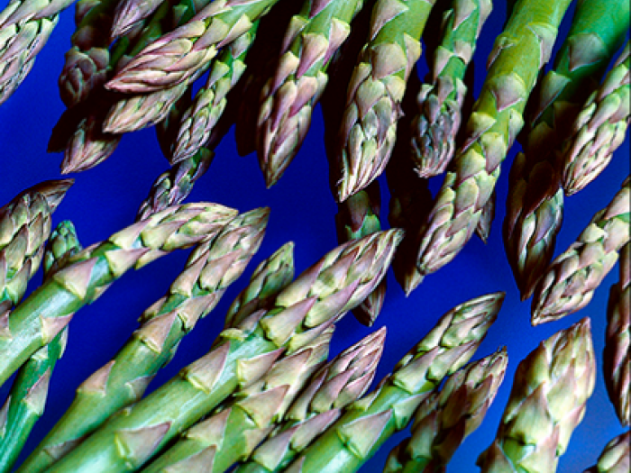 Archisio - Patrizia Savarese - Progetto Fotografia