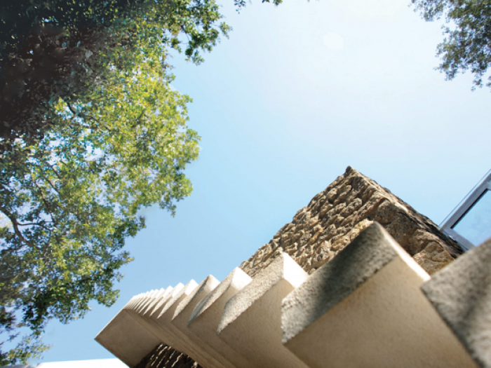 Archisio - Caterina Esposito - Progetto Recupero eristrutturazione di un antico cellaio di 250 mqimmerso in un bosco privato