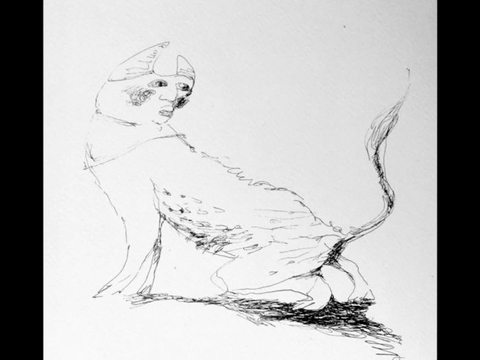 Archisio - Elisa Possenti - Progetto Incisione