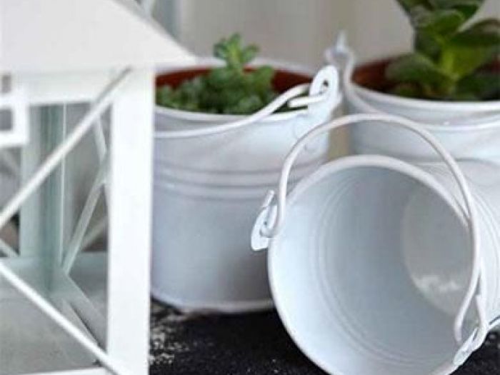 Archisio - Vivai Flli Zanella Srl Antica Sede - Progetto Piante rare