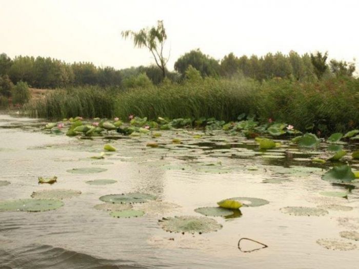 Archisio - Marc - Progetto Una casa del t in un isola artificiale