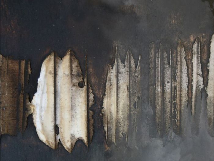 Archisio - Ester Maria Negretti - Progetto ESTER MARIA NEGRETTI