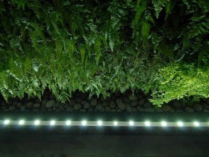 Archisio - Dotto Francesco Consulting Green - Progetto Verde verticale interno casa