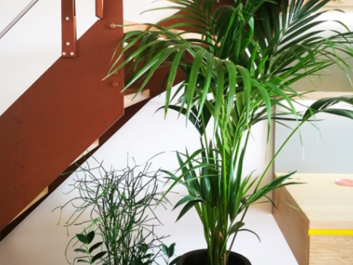 Archisio - Matca Studio - Progetto Casa fly