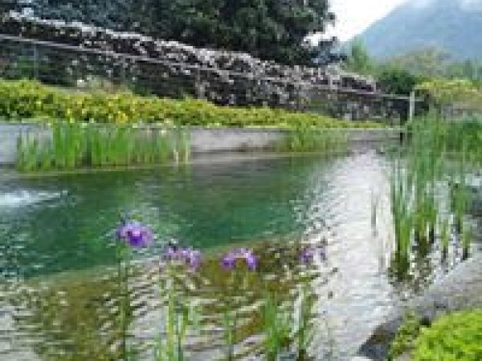 Archisio - Arqtropa Studio - Progetto Piscine naturali e vegetazione acquatica