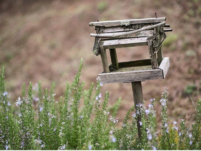 Archisio - Matteo Castelli Fotografia - Progetto Villa in garfagnana