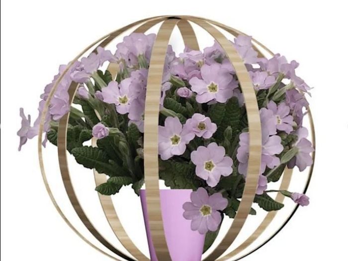 Archisio - Stefania Lorenzini Garden Designer - Progetto Flora globe