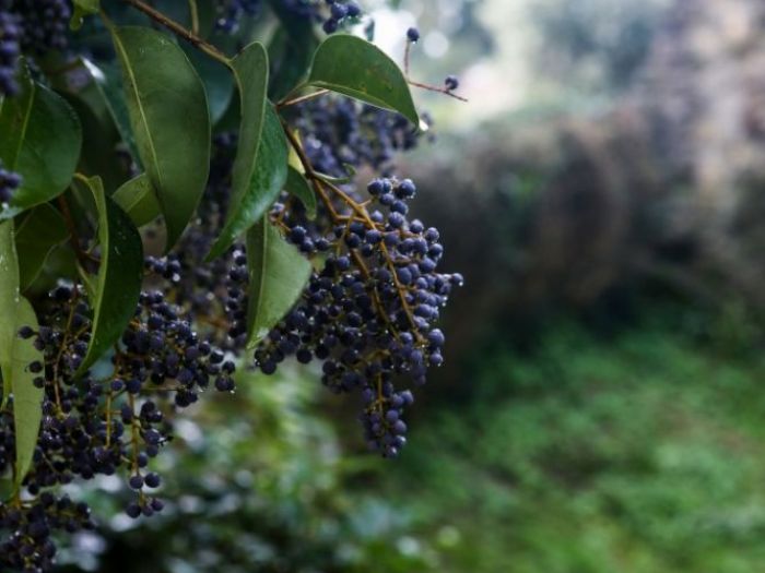 Archisio - Porte Italia Interiors - Progetto Gallery