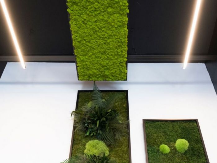 Archisio - Dfg Architetti - Progetto Abito verde showroom