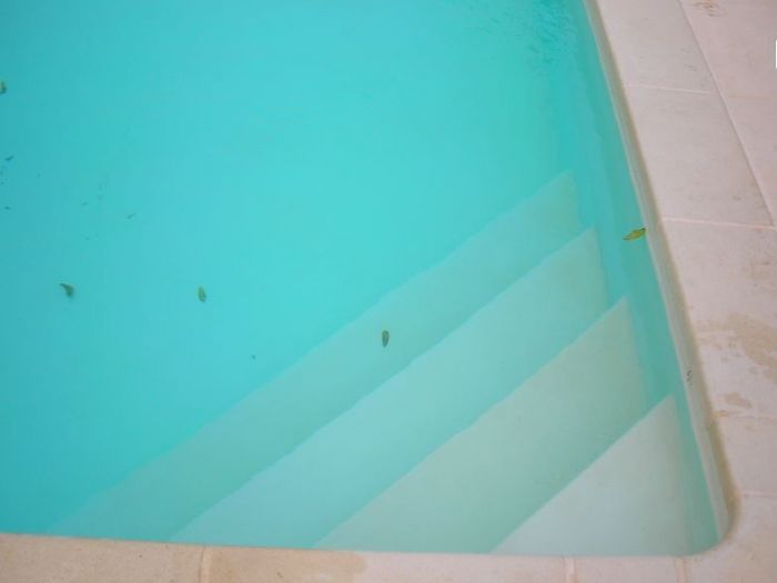 Archisio - System Piscine - Progetto Modelli di scala