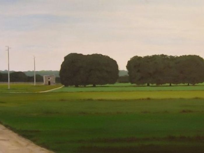 Archisio - Maurizio Ciccani Dipinti Ad Olio - Progetto Pittura