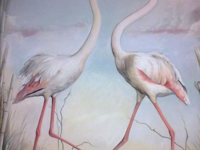 Archisio - Michela Zelaschi - Progetto Decorazioni pittoriche michela zelaschi