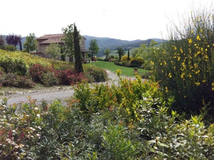 Archisio - Lidea Verde Snc Di Bandini Fabio C - Progetto Giardini